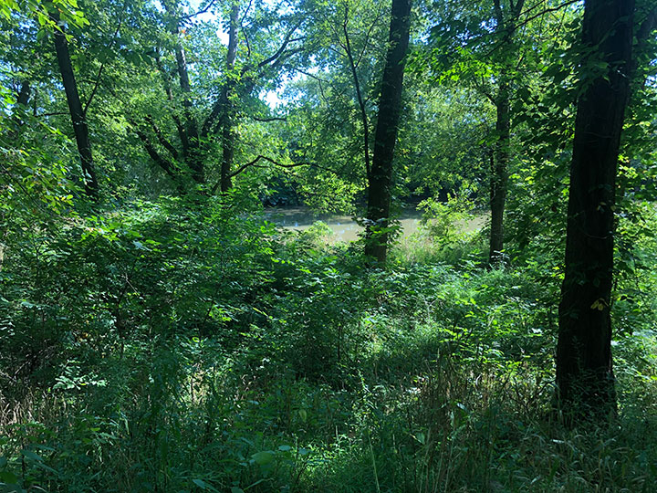 7 Acres Of Recreational Land West Lafayette, OH KIKO Auctions and Auctioneers