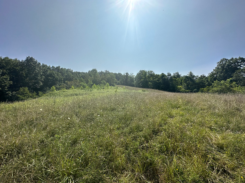 26+ Acres Recreational Land Near Seneca Lake Quaker City, OH KIKO